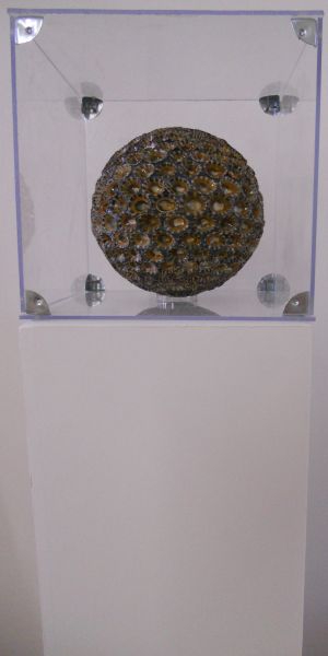MW 10 (Normale Auflösung)